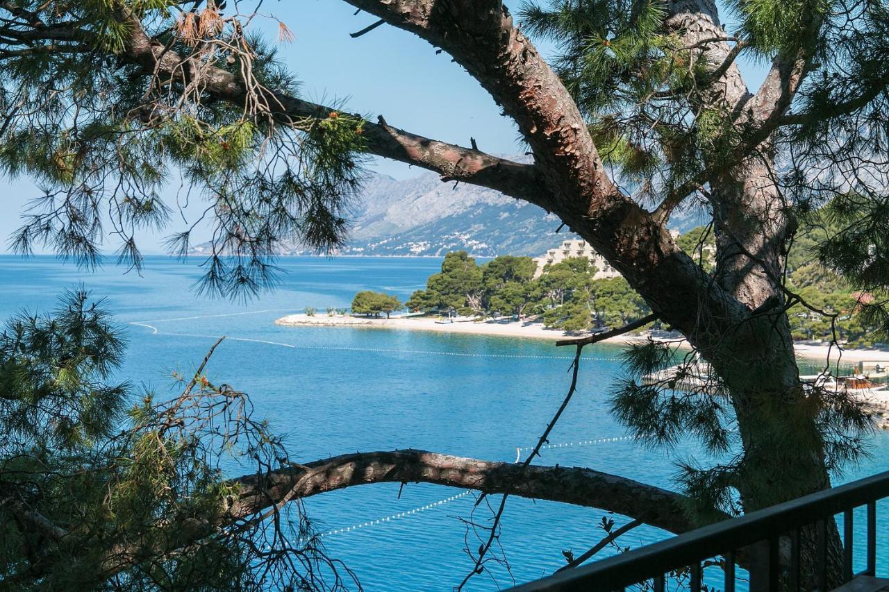 Apartments By The Sea Brela, Makarska - 16950 Dış mekan fotoğraf