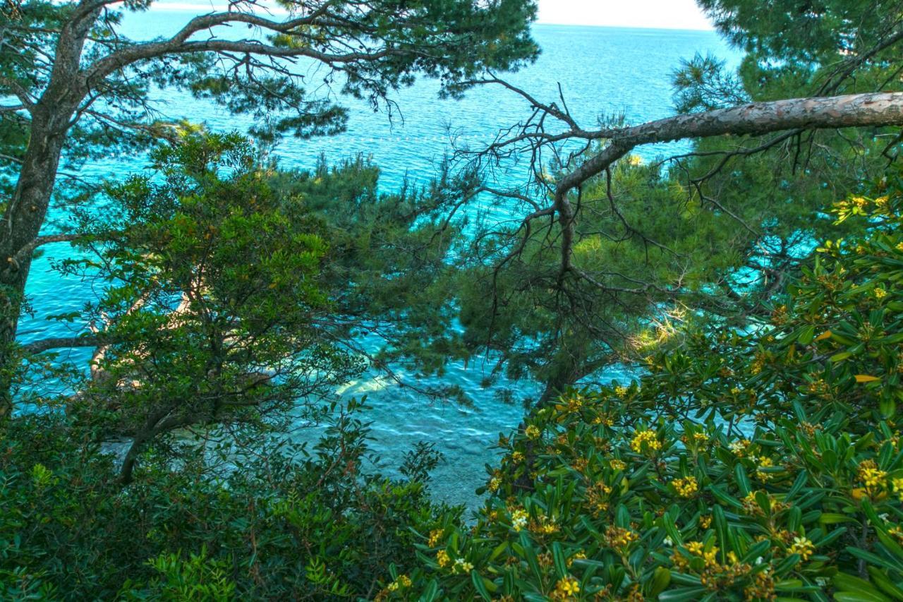 Apartments By The Sea Brela, Makarska - 16950 Dış mekan fotoğraf